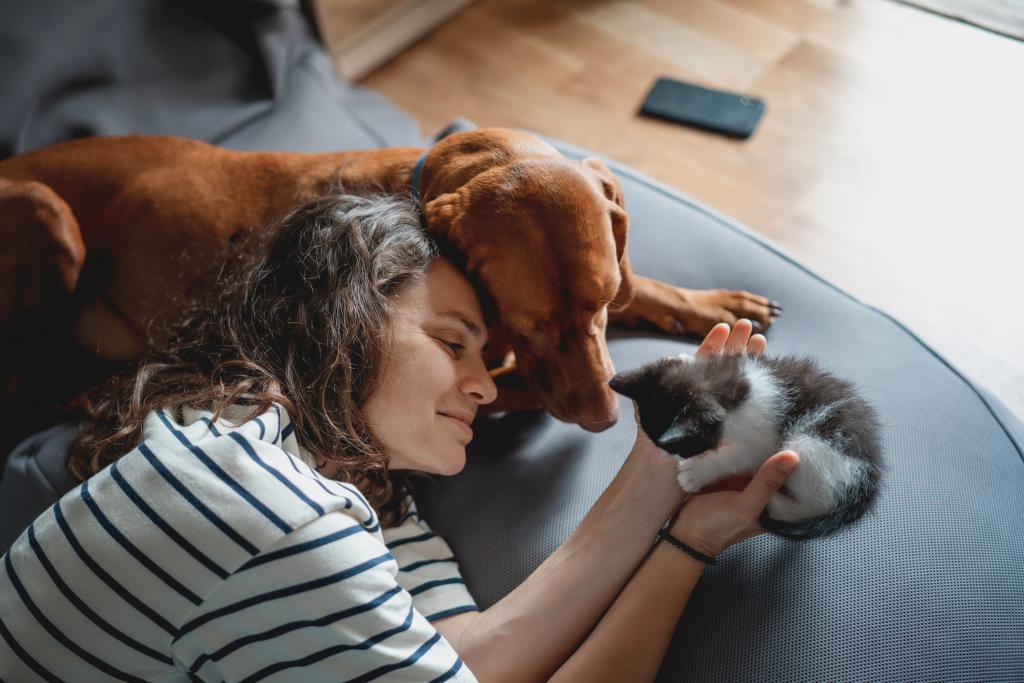Haustiere / Hund und Katze