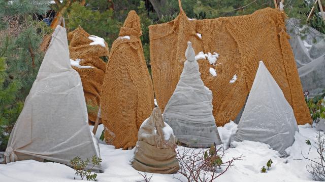 Hochbeet im Winter: Vorbereitung fr die neue Saison