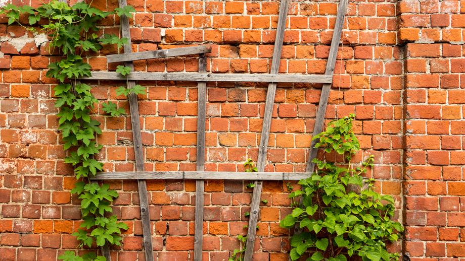 Lrmschutzwand: Schallschutz-Ideen fr Garten und Terrasse