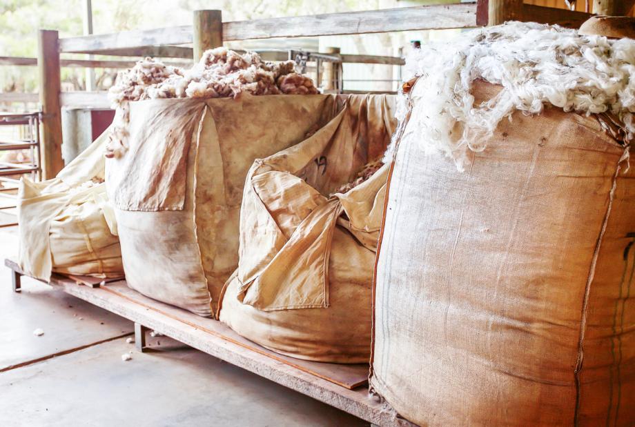 Wolle als Dämmstoff: Alles über Schafwolledämmung
