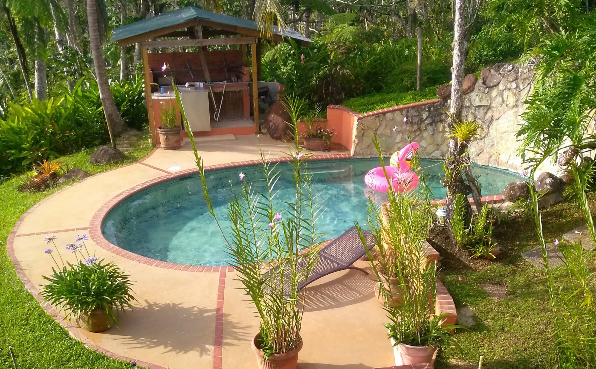 Kleiner Pool, umgeben von einem Garten