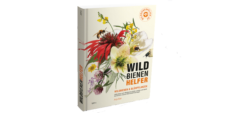 Buch Wildbienenhelfer