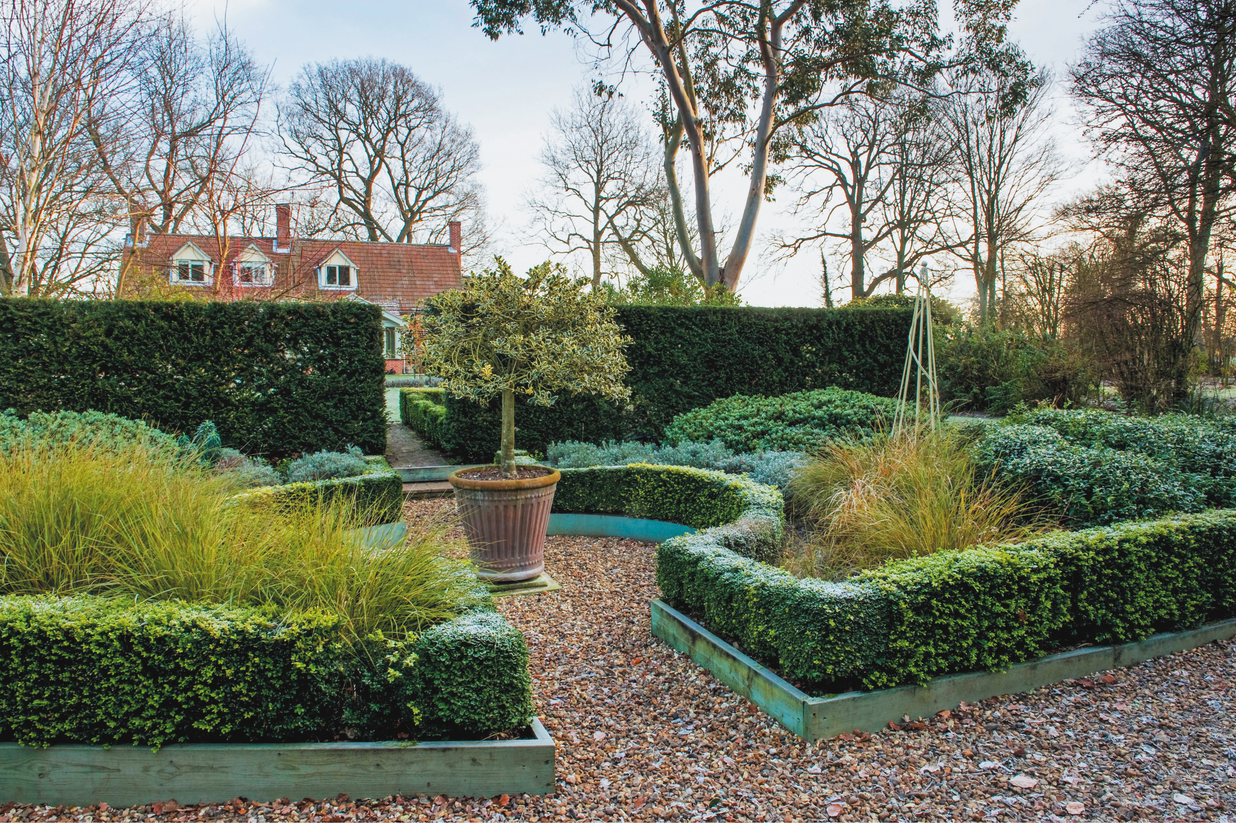 Von Buchsbäumen eingegrenzter Gartenweg