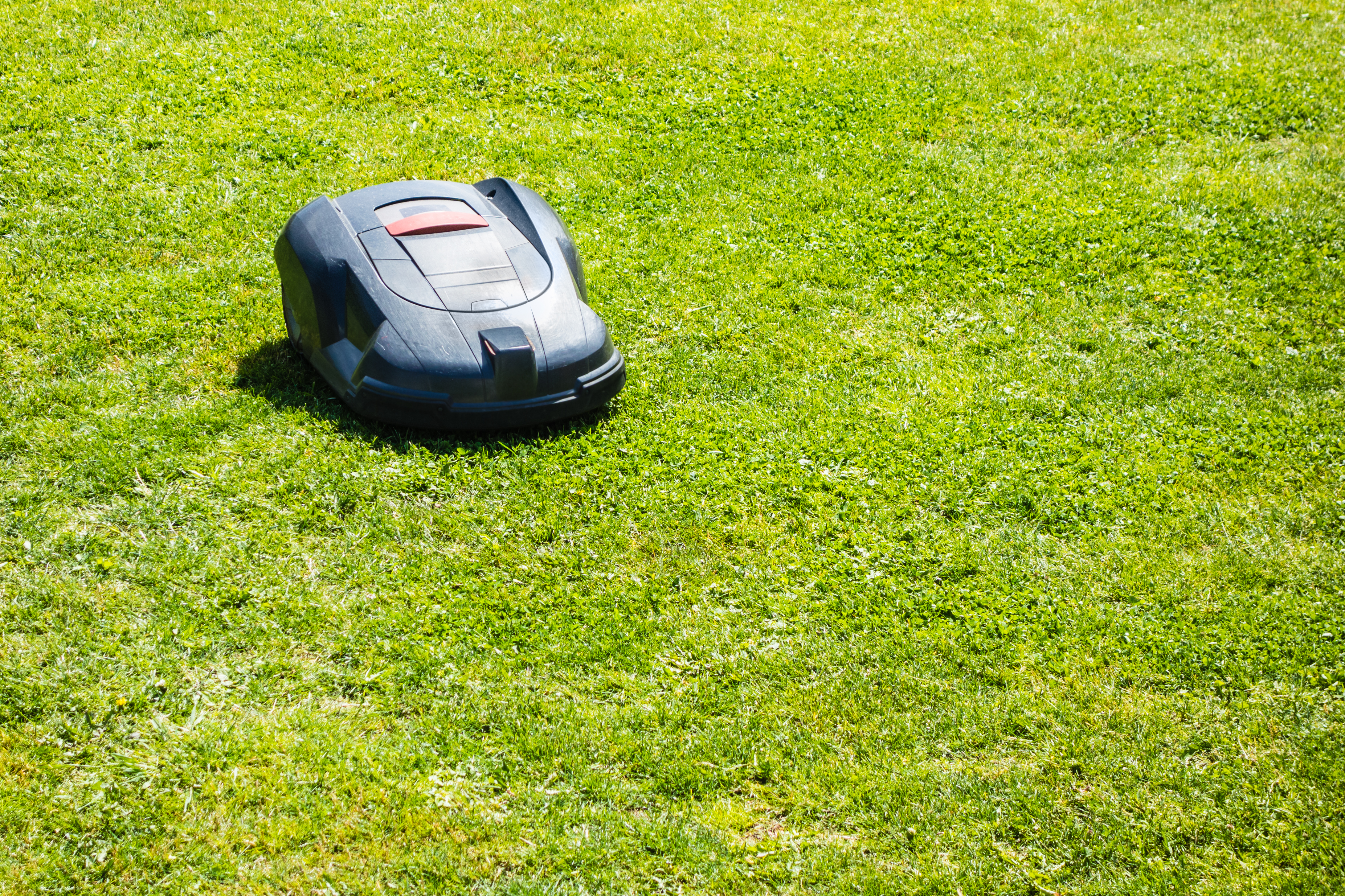 a robotic lawn mower working on a green grass field