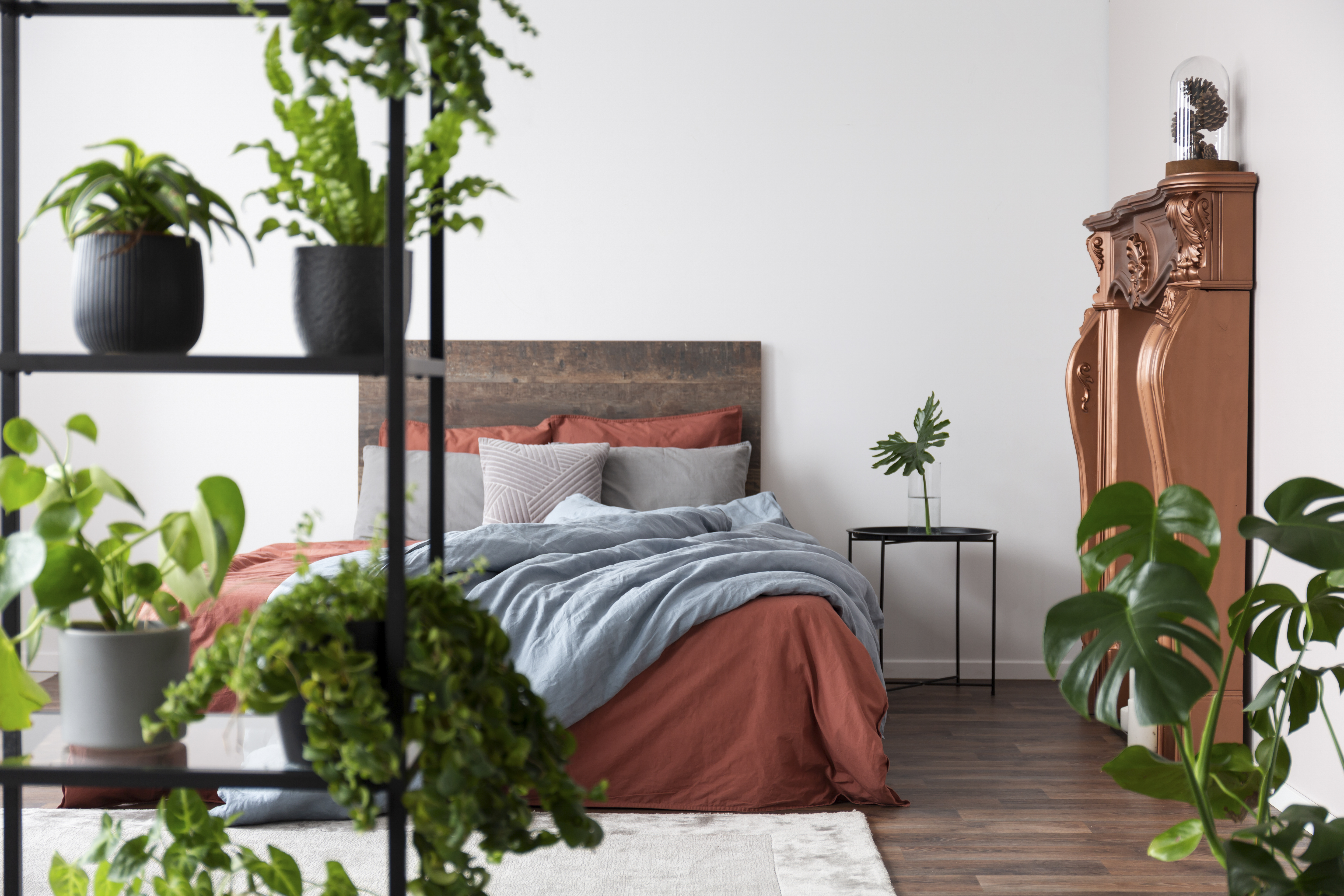 Schlafzimmer mit Zimmerpflanzen