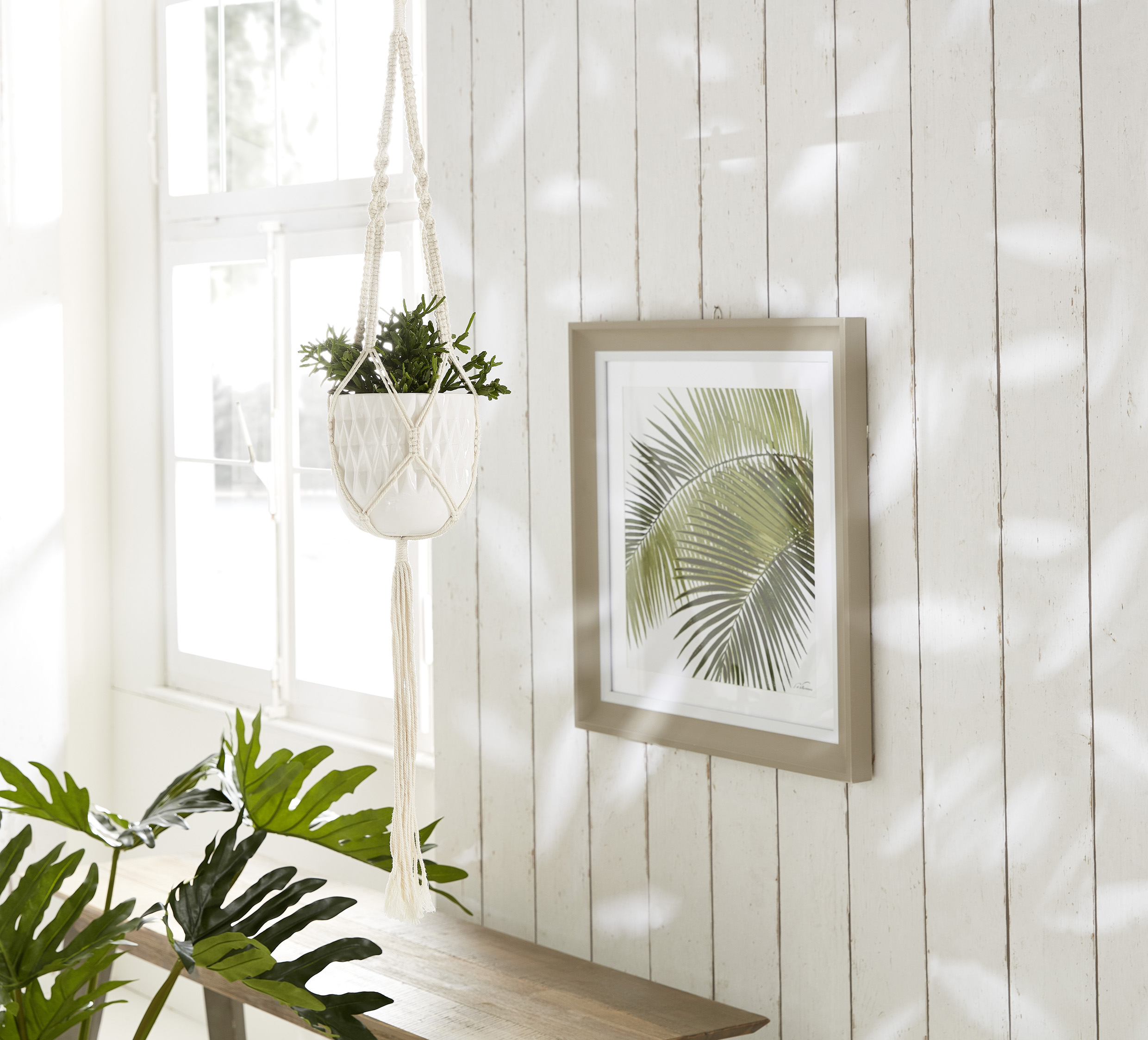 Wandbild mit Palmwedel, davor in einem Topf hängende Zimmerpflanze.