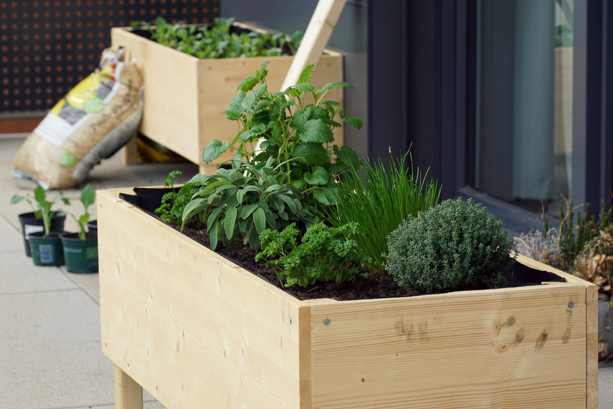 Hochbeet Für Den Balkon