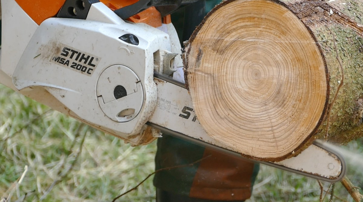 Kettensägenschein Brennholz selber sägen? Das müsst ihr wissen