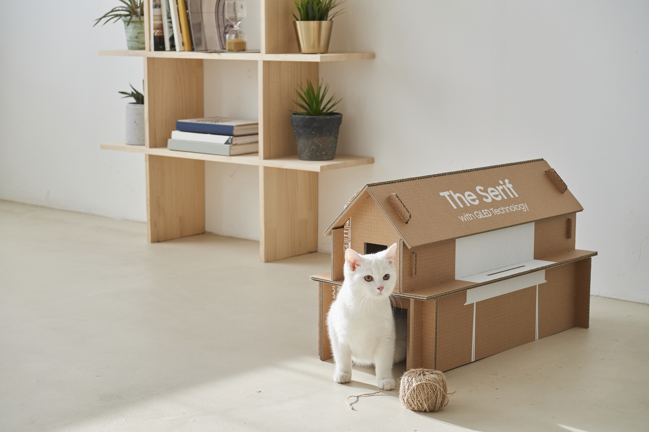 Ein aus Verpackungsmaterial gebautes Katzenhaus