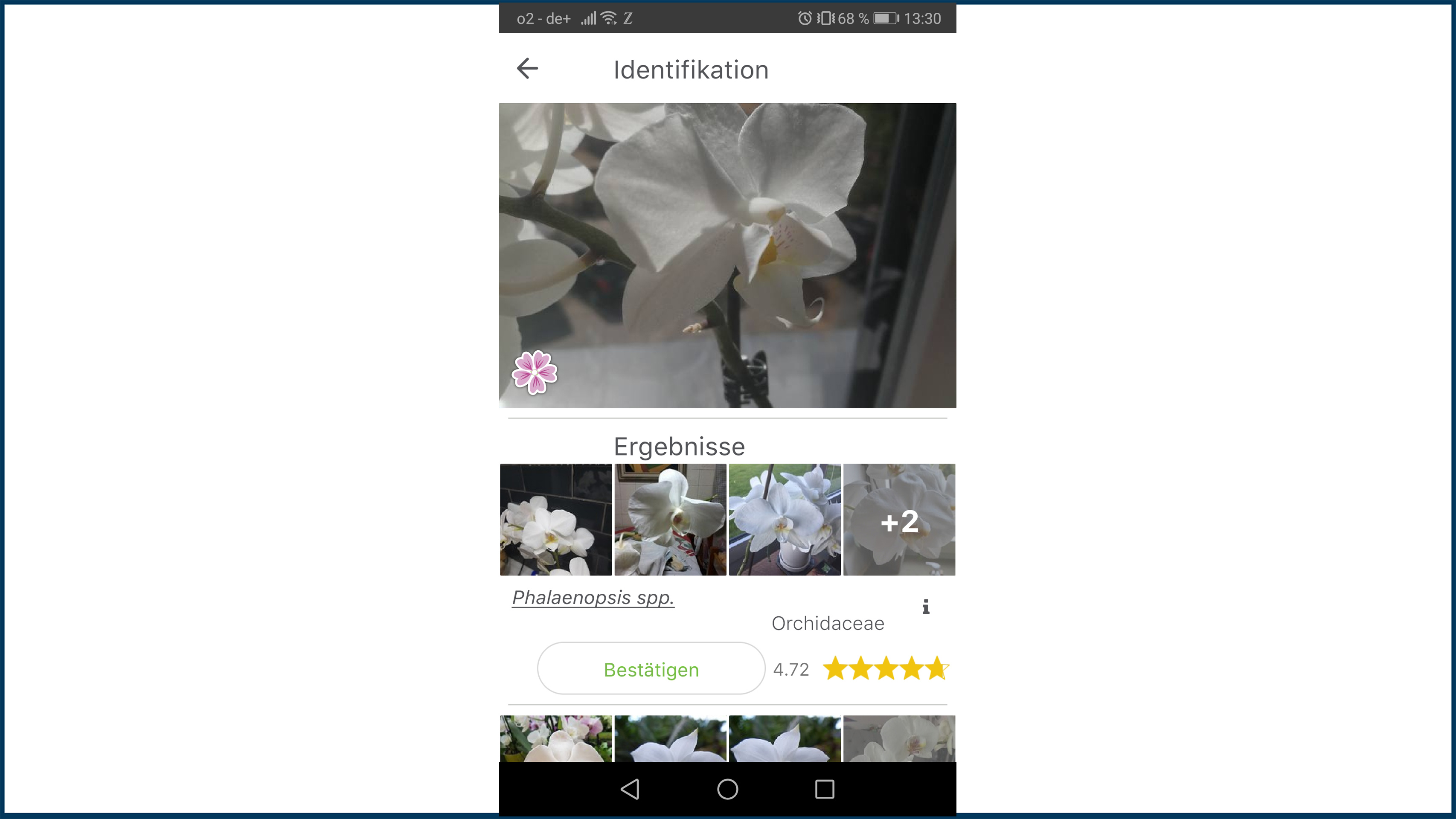 Screenshot der App Plantnet