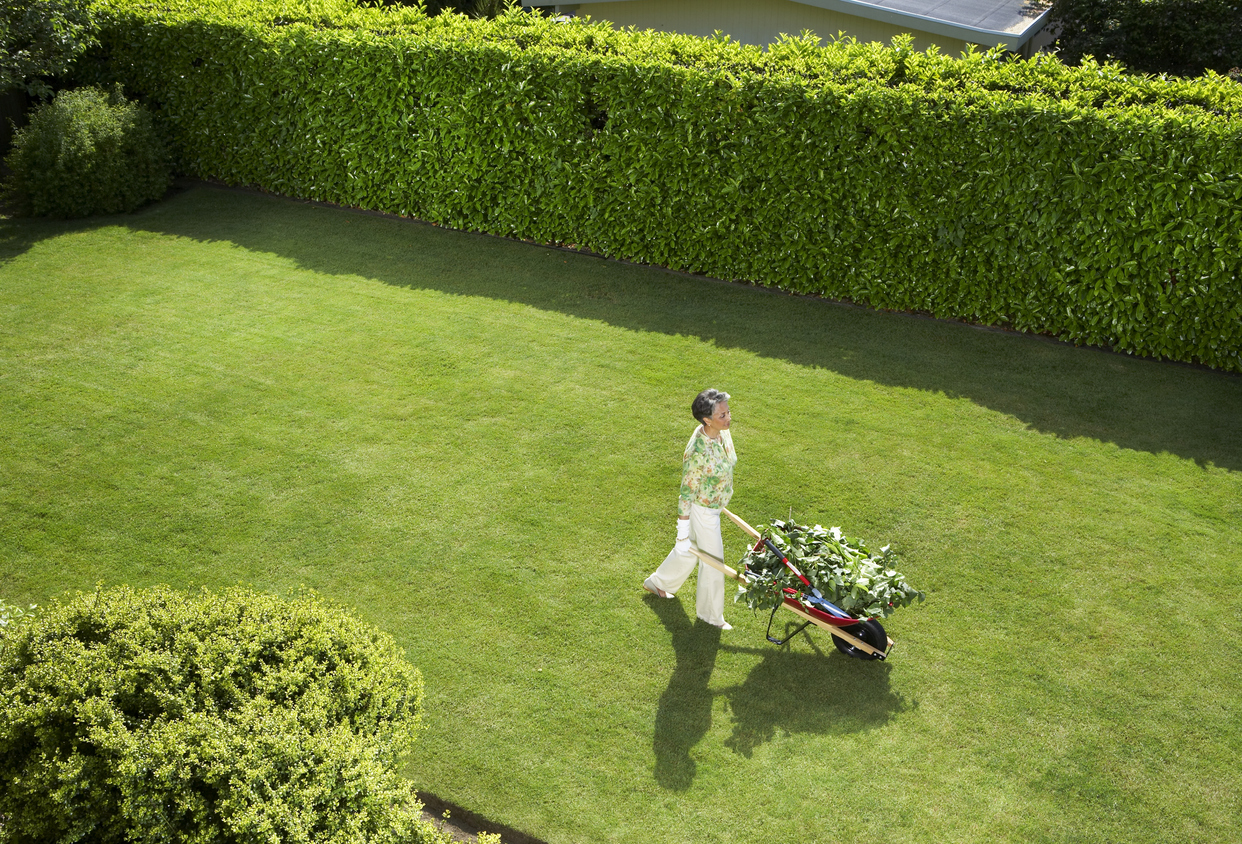 Frau bei Gartenarbeit umringt von Hecke