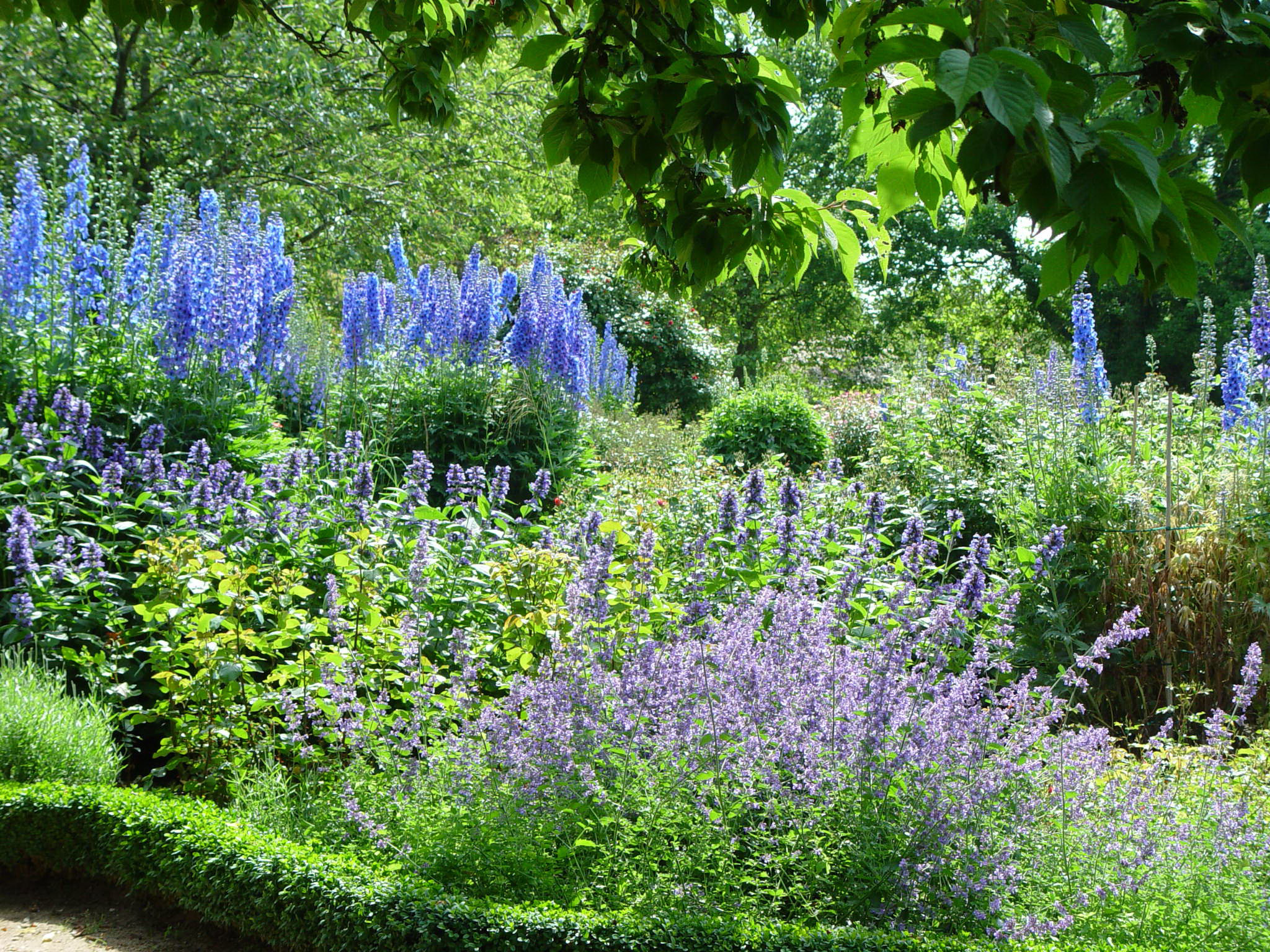 Naturnaher Garten mit Pflanzenvielfalt