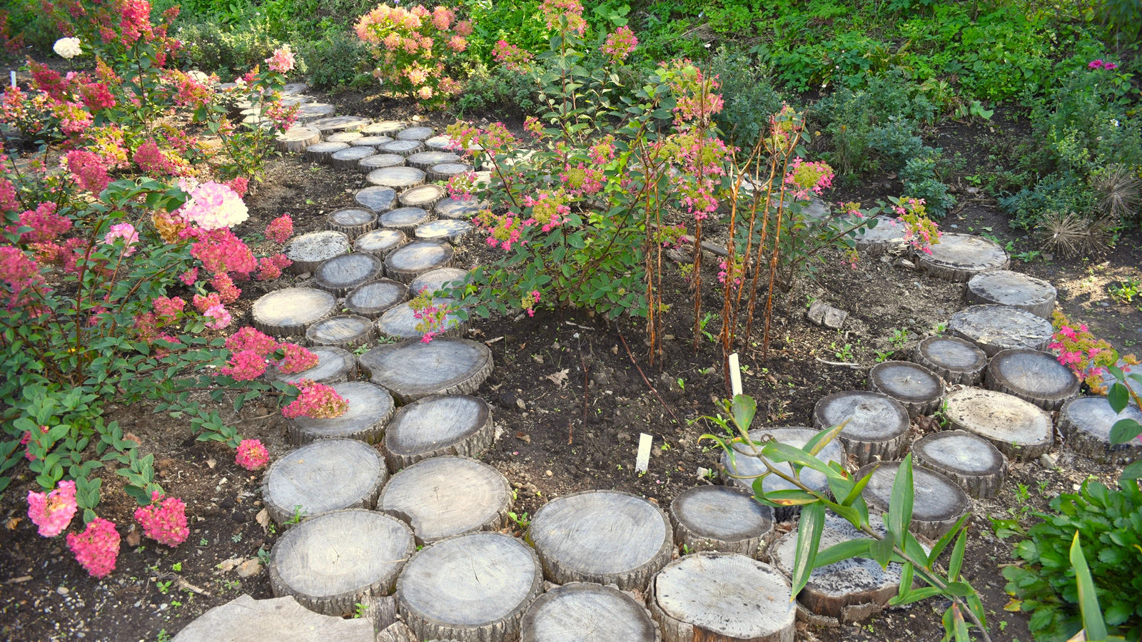 Gartenweg aus Holz 5 tolle Ideen zum Nachmachen