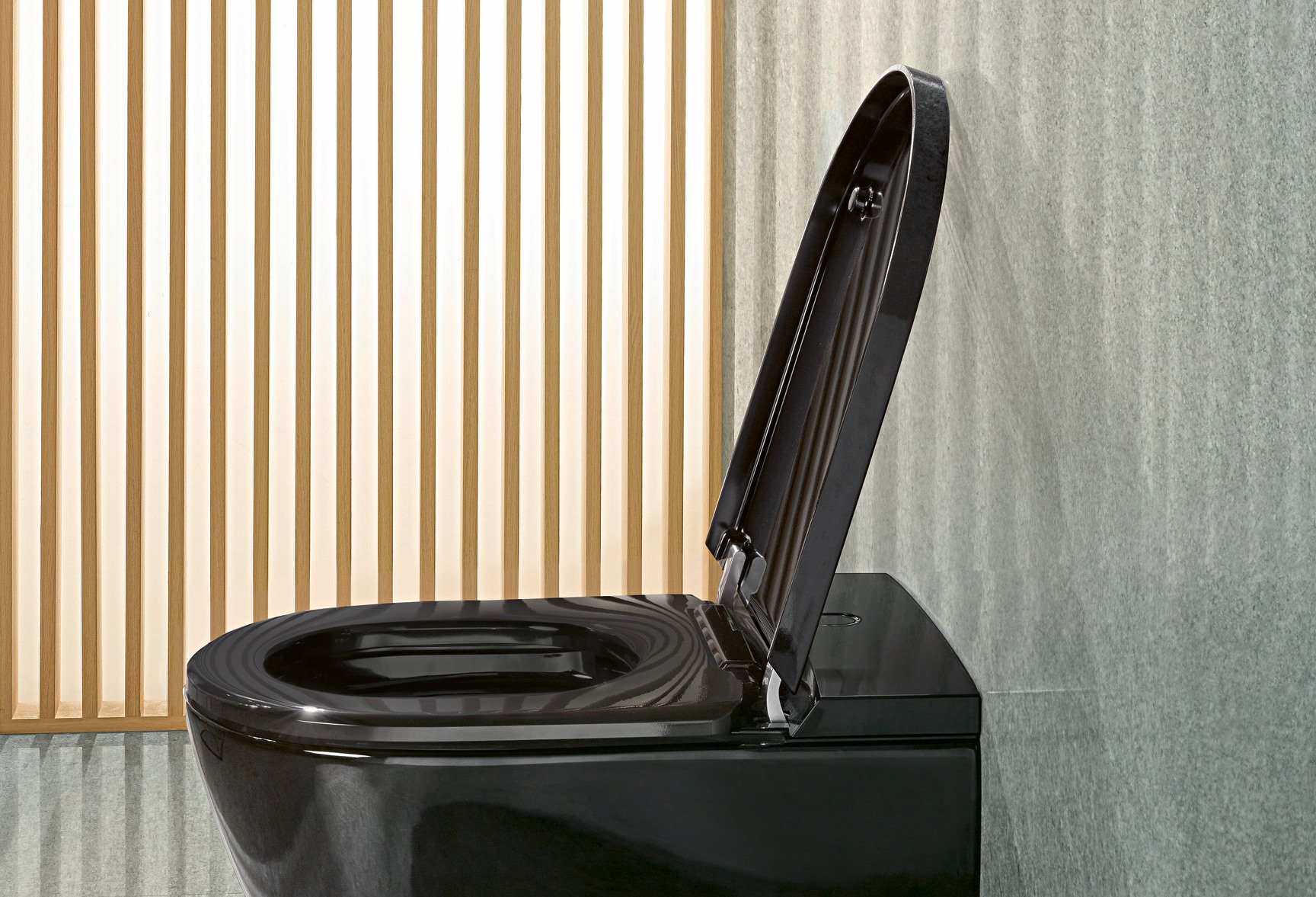 aufgeklappte schwarze Toilette