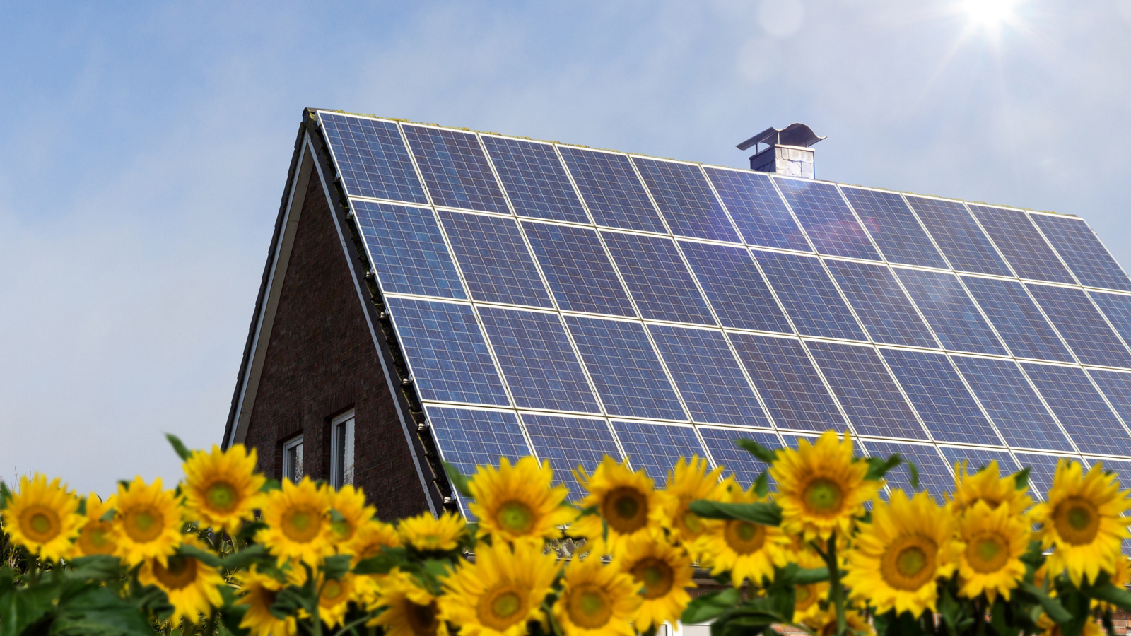 Haus mit einer Photovoltaik-Anlage in einem Feld mit Sonnenblumen.