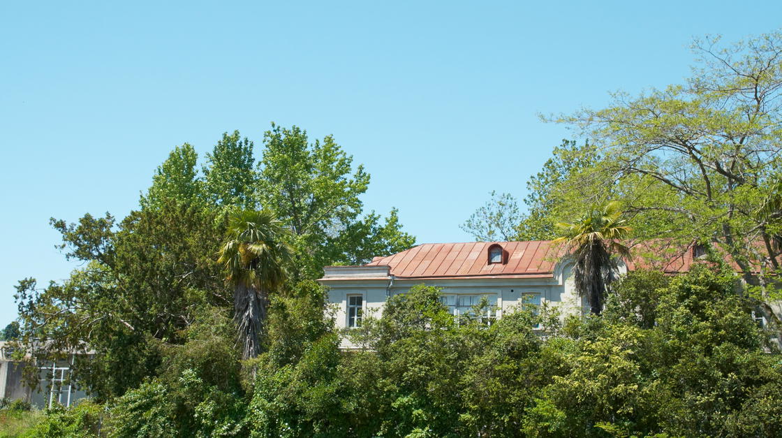 Haus auf einem eingewachsenen Grundstück hinter Bäumen.