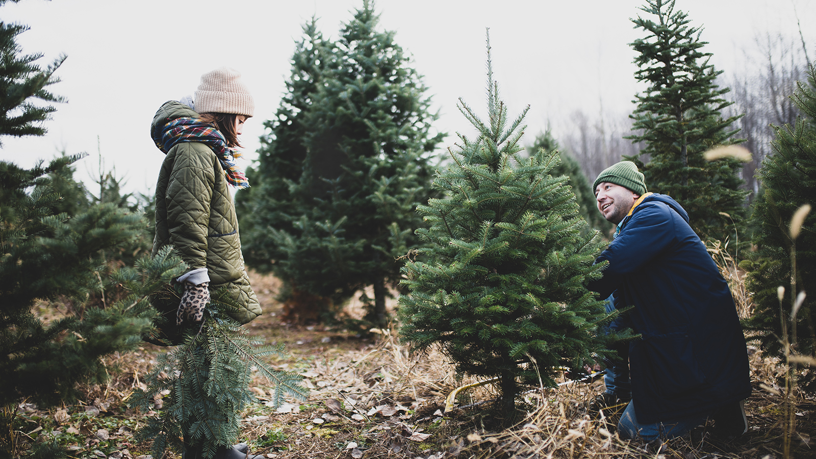 Vater und Tochter fällen Weihnachtsbaum