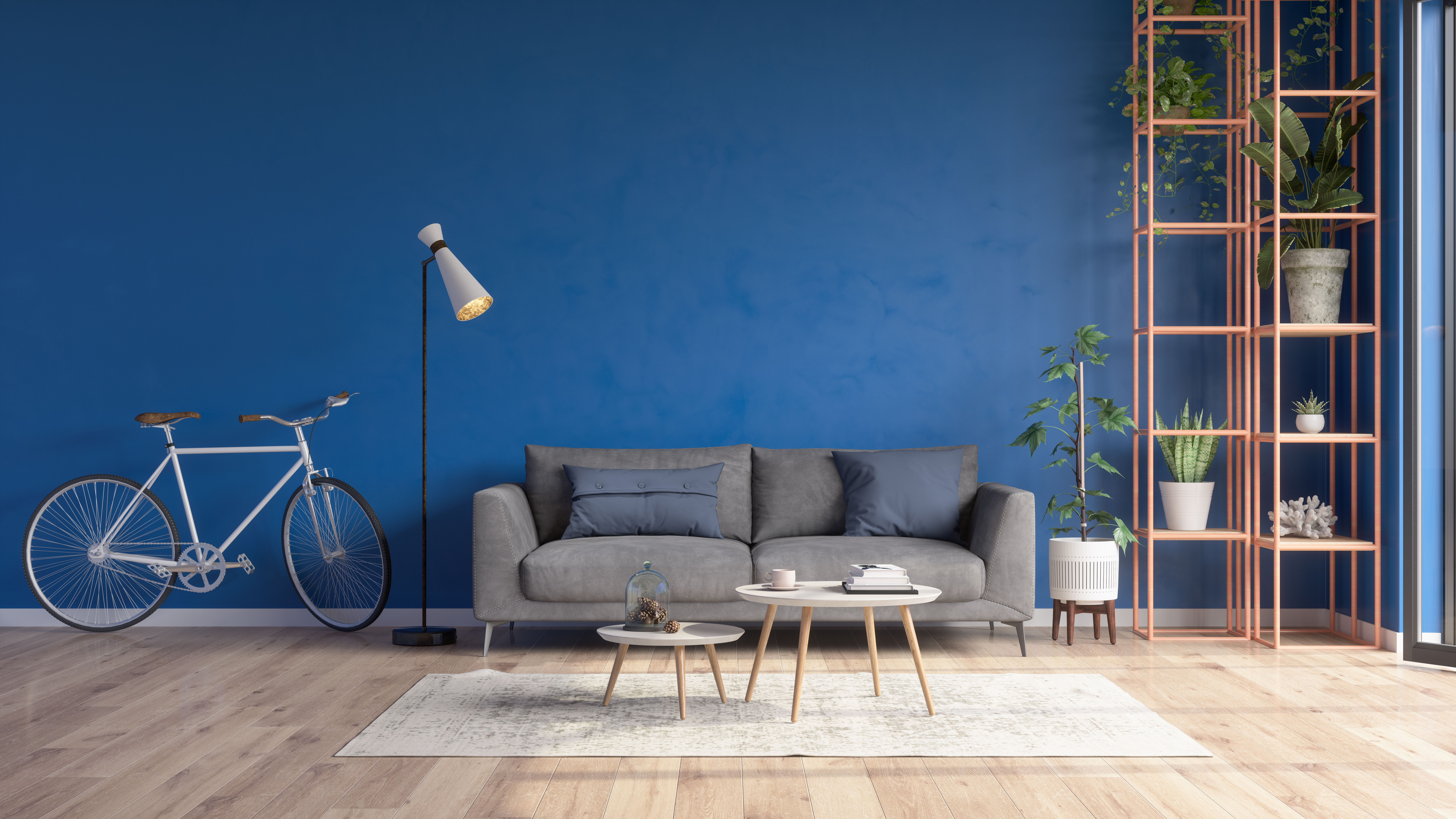 Wohnzimmer mit blauer Wand und grauem Sofa