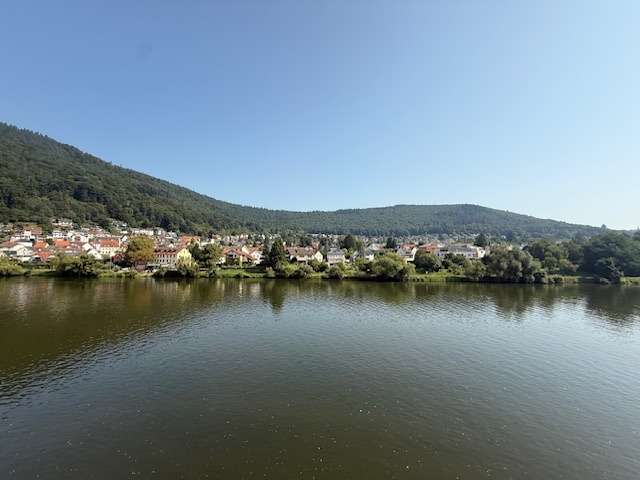 Ausblick