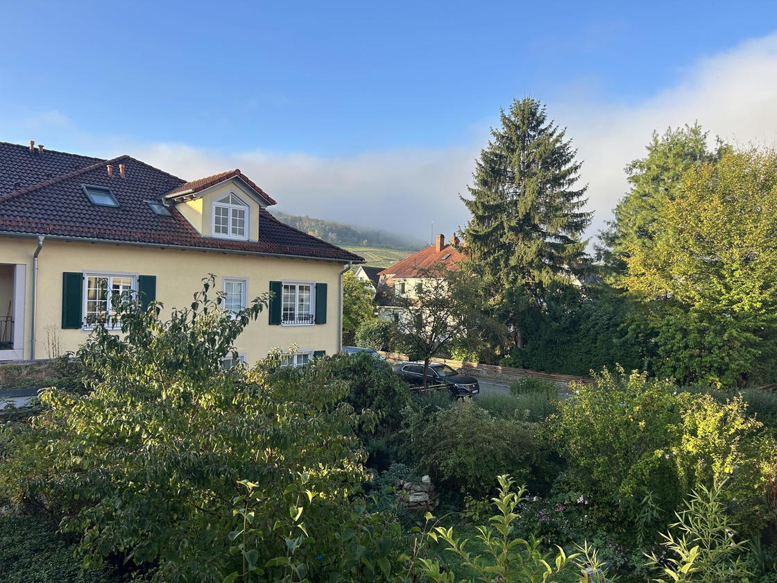 Blick vom Balkon