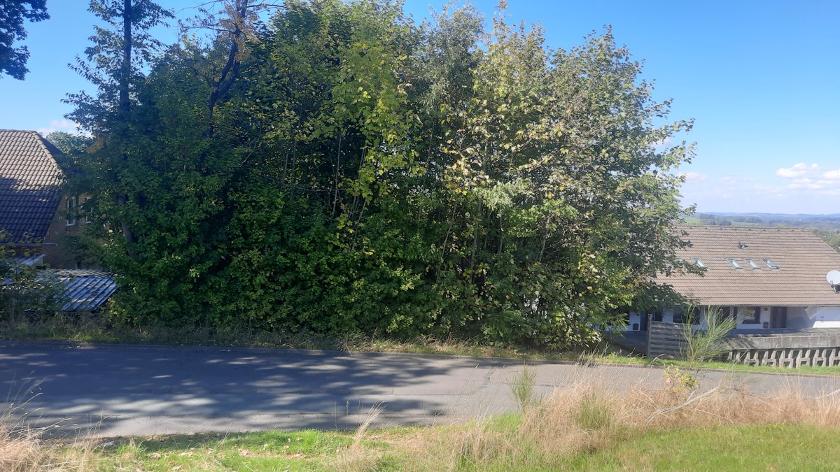 in Waldbröl Wohnglück.de