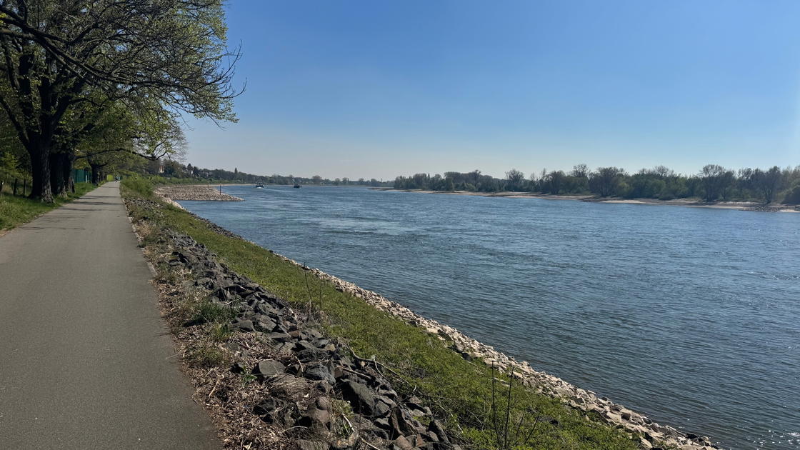 2. Reihe Rheinlage