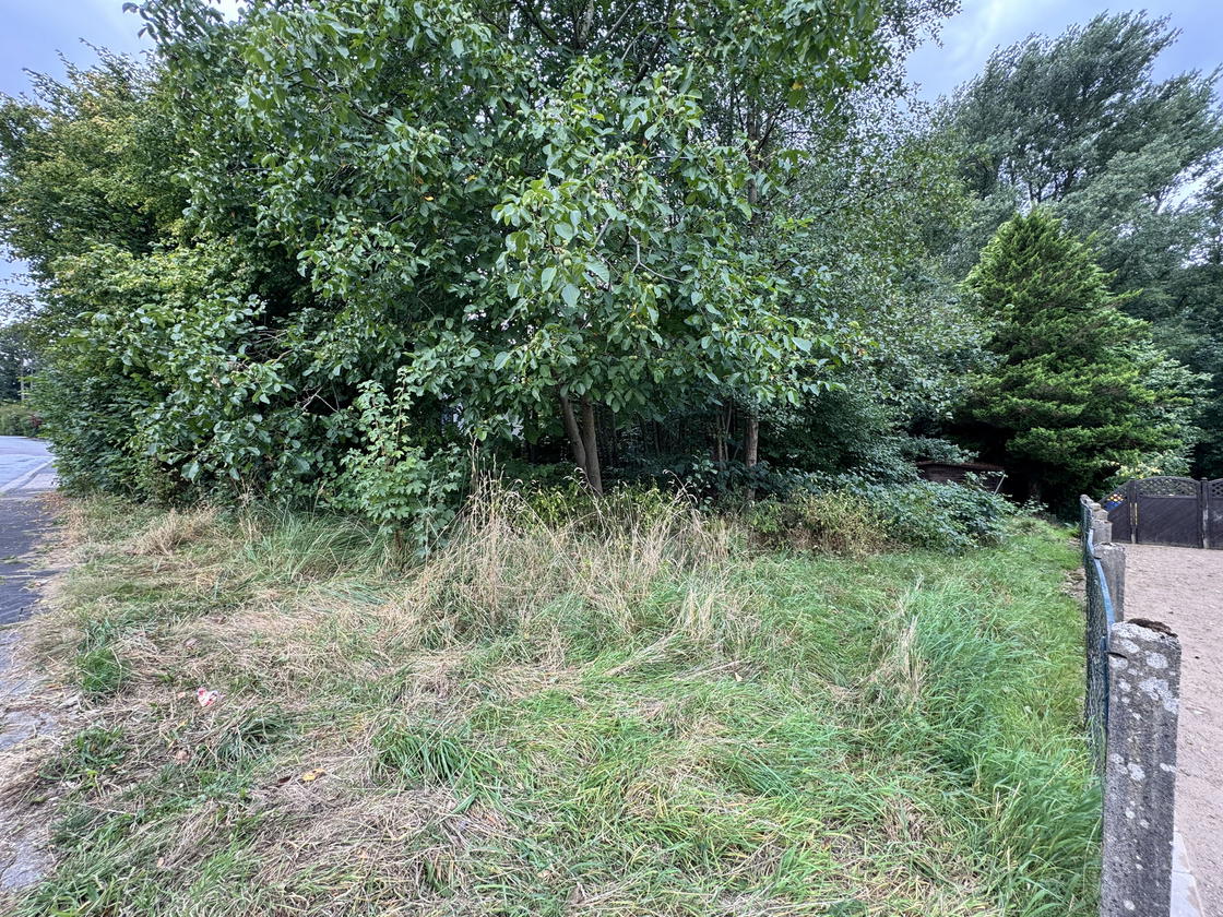 Ansicht
