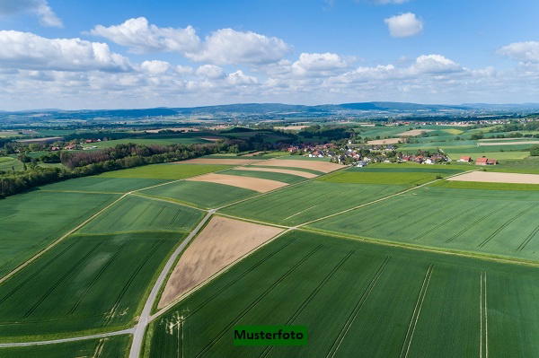 Keine Originalbilder