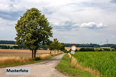 Keine Originalbilder