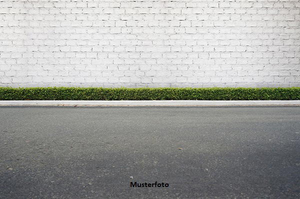 Keine Originalbilder