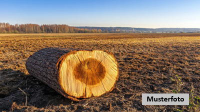Keine Originalbilder