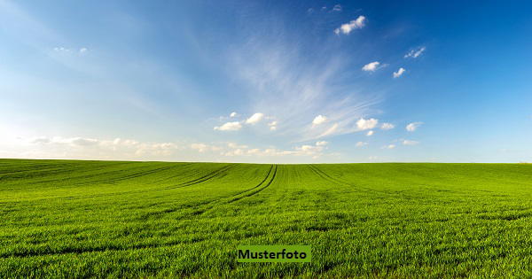 Keine Originalbilder