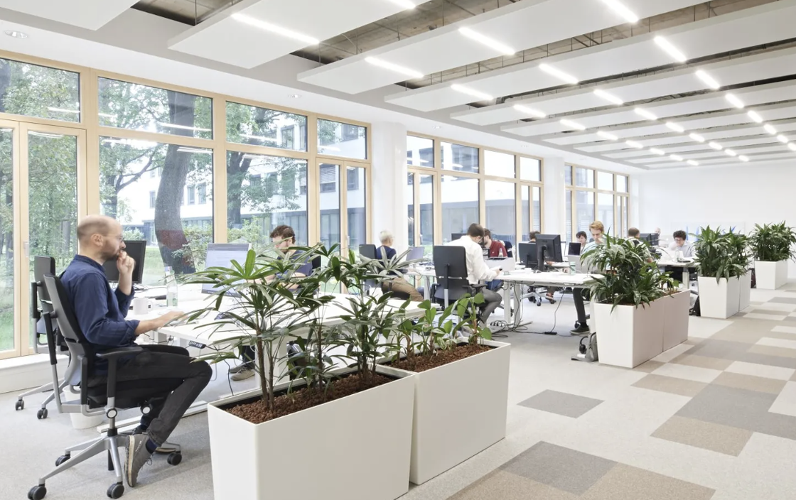 Blick ins Büro