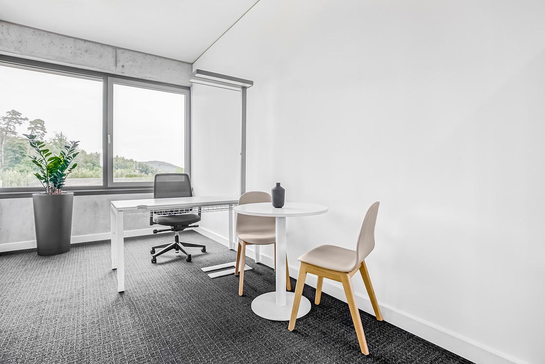 Regus_Europa_5275_Kaiserslautern_Germany_Small Office.jpg