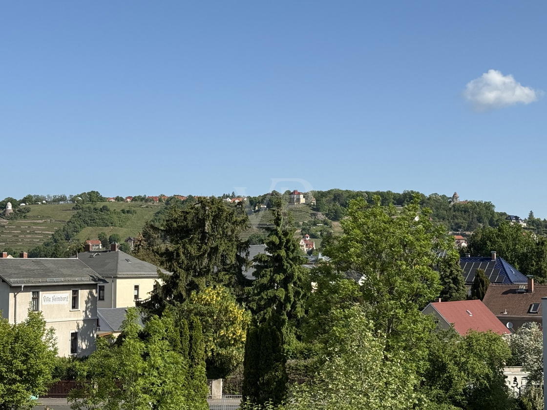 Weinberge Radebeuls