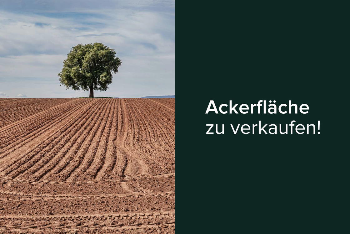 Ackerflaeche_zu_verkaufen