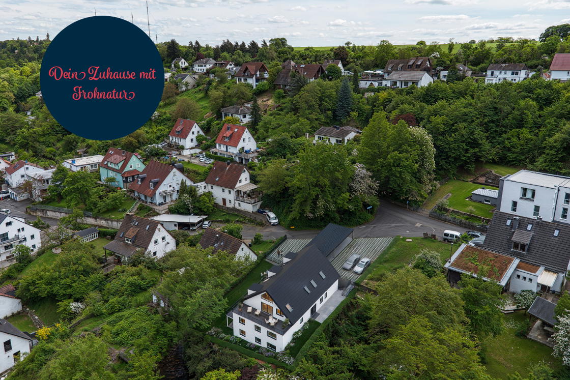 Vogelperspektive - Visualisierung