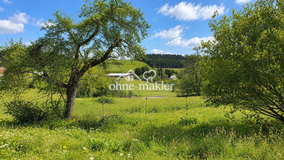 Blick nach Osten ins Grüne