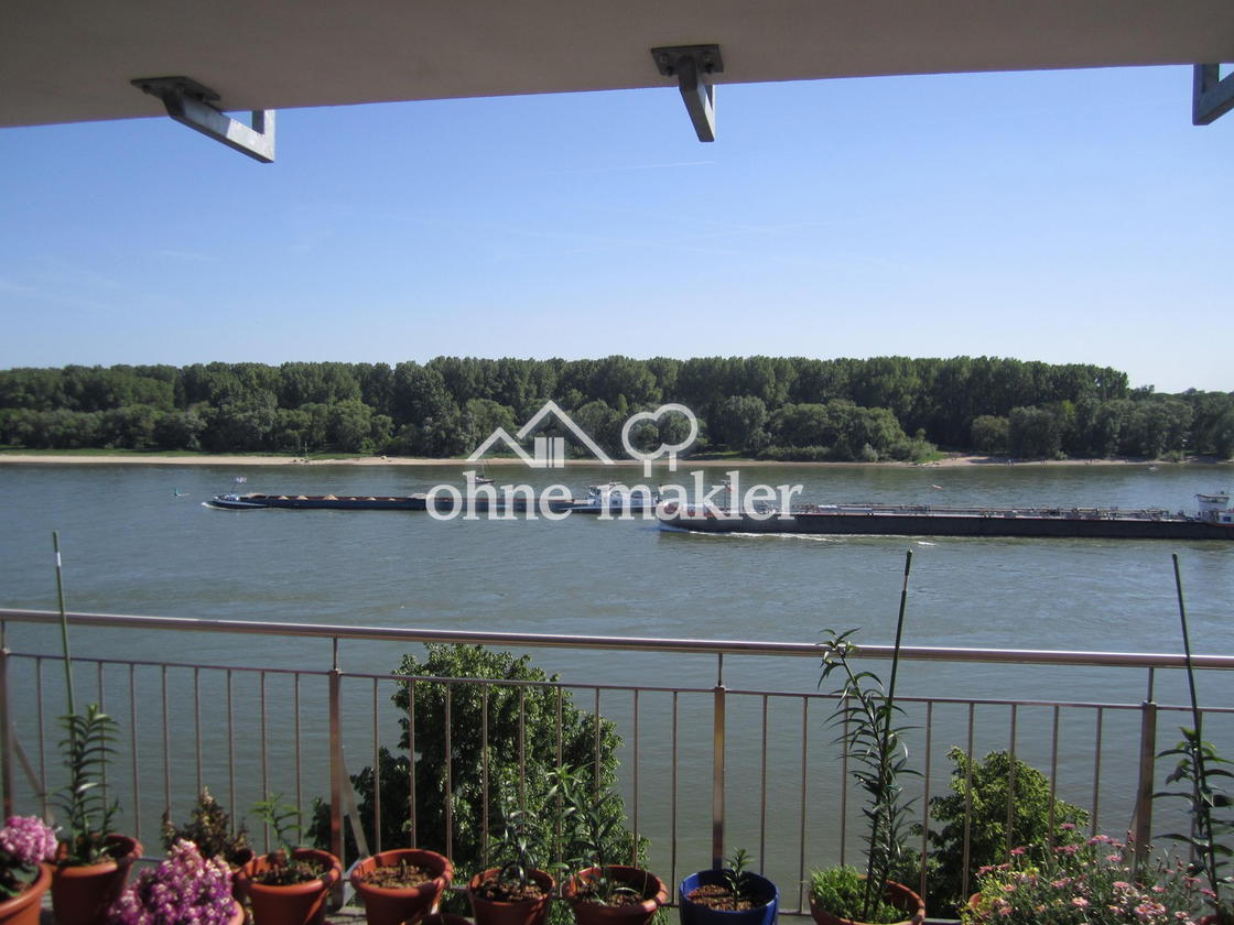 Rheinpanorama