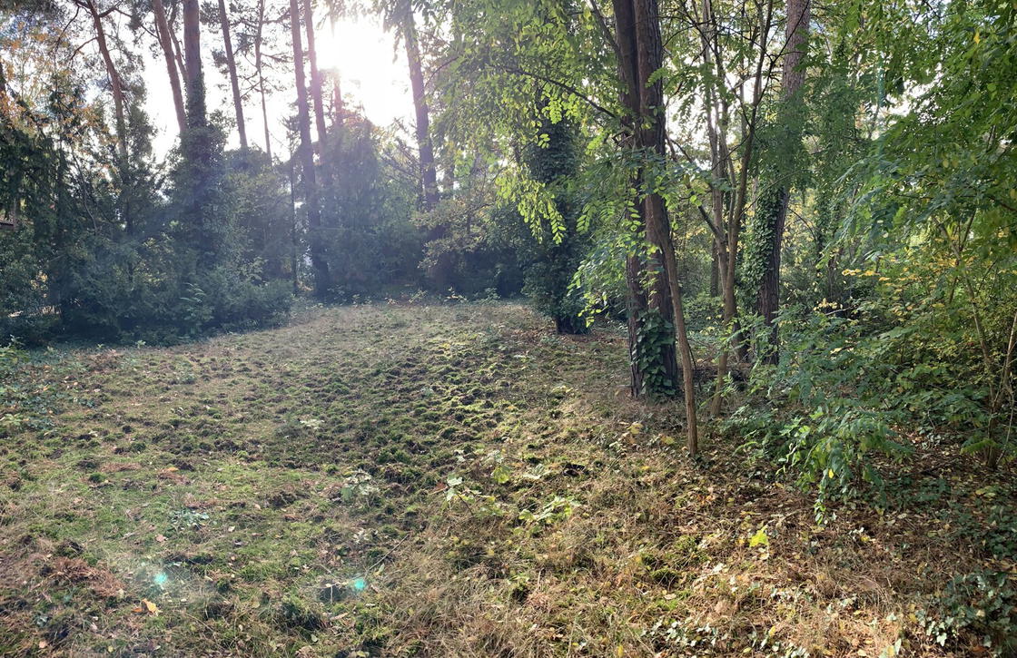 Grundstücksansichten