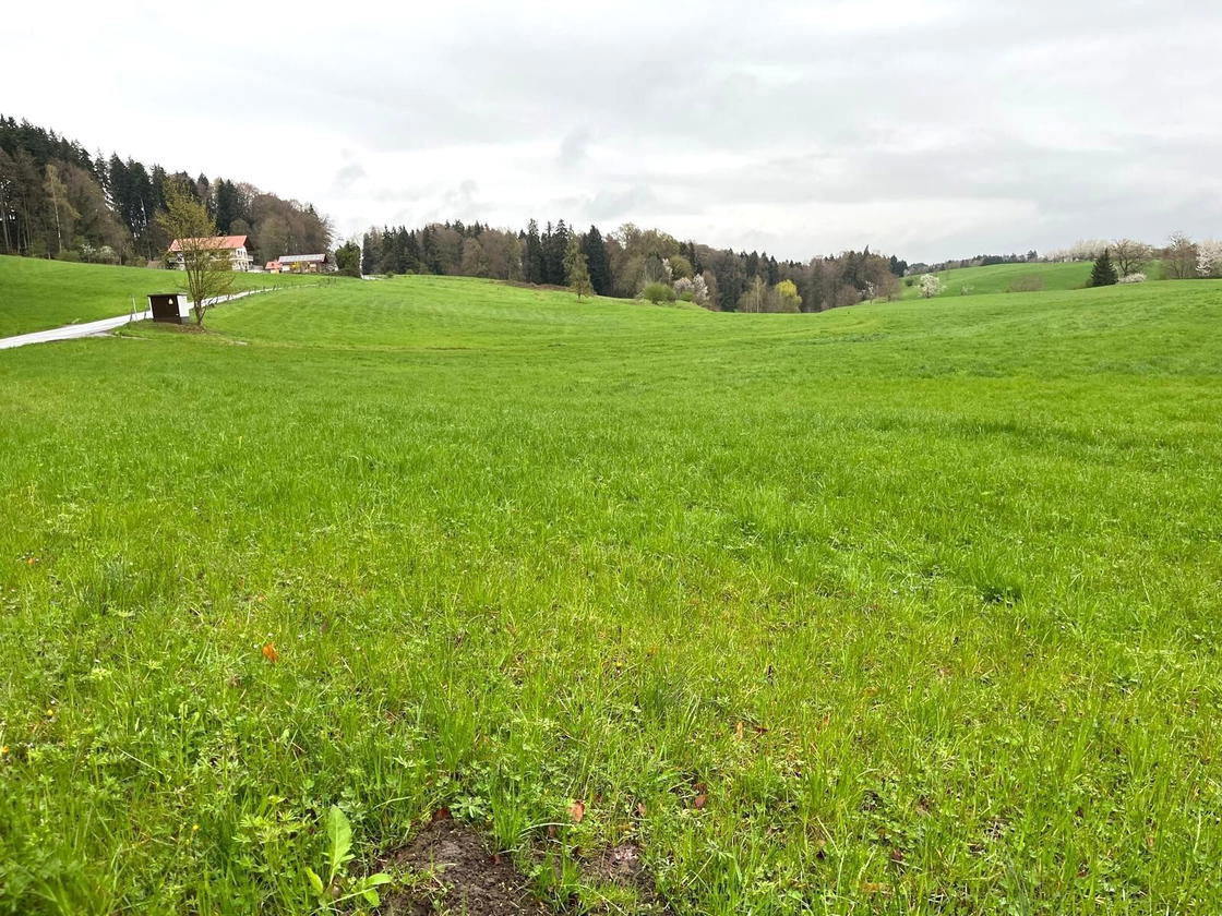 Ansicht Fläche