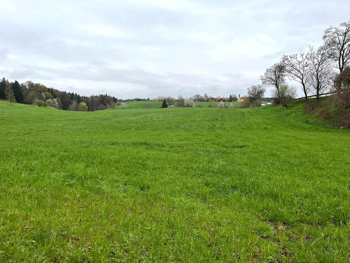 Ansicht Fläche