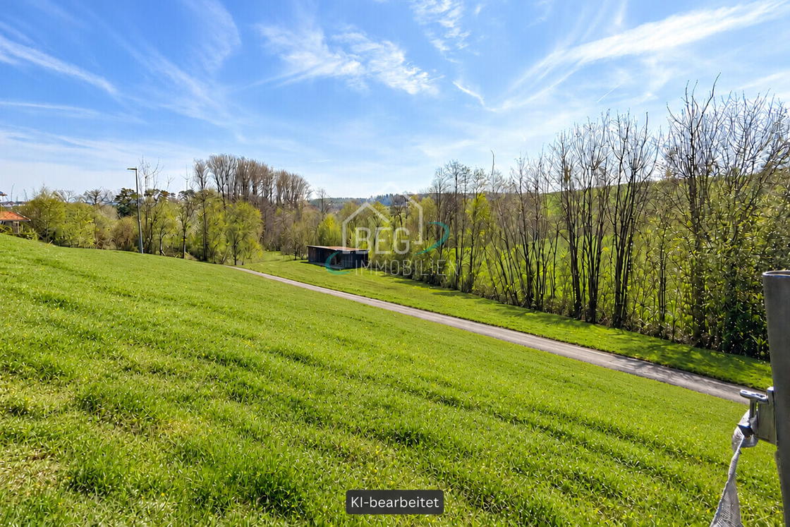 Sonnige Wiesenlandschaft mit Gefälle