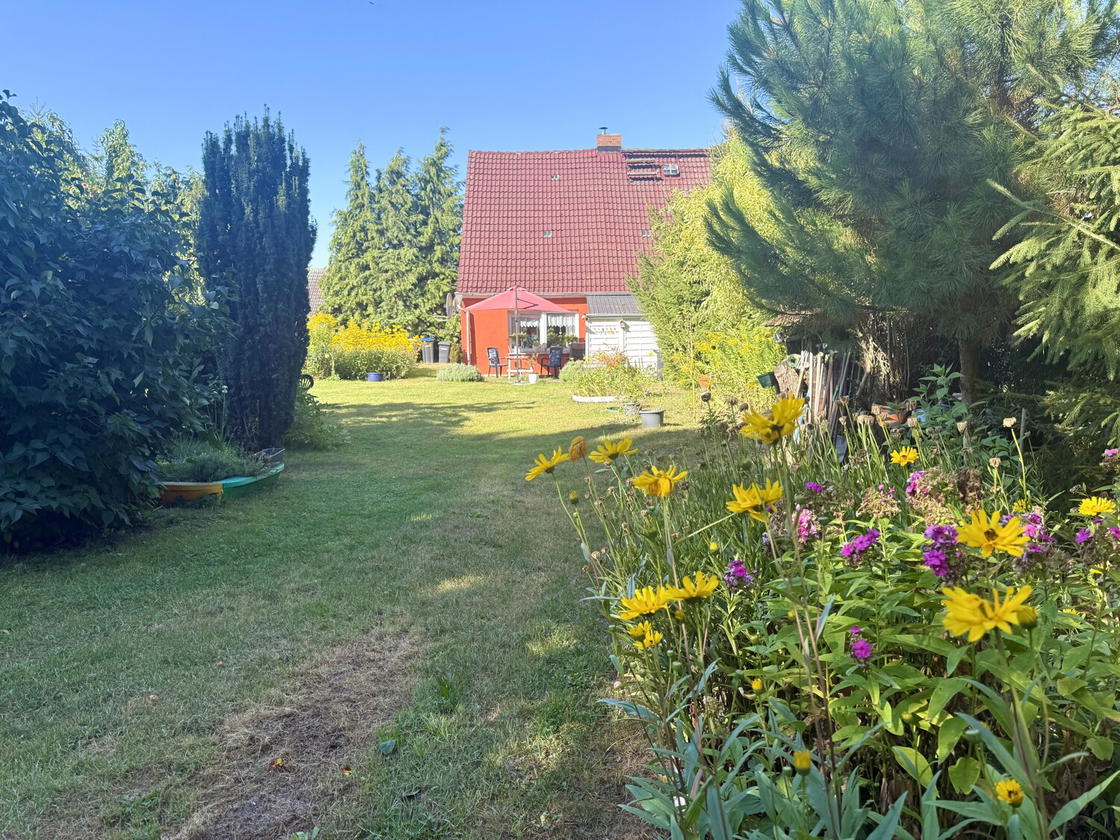 Blick aus dem Garten auf das Haus