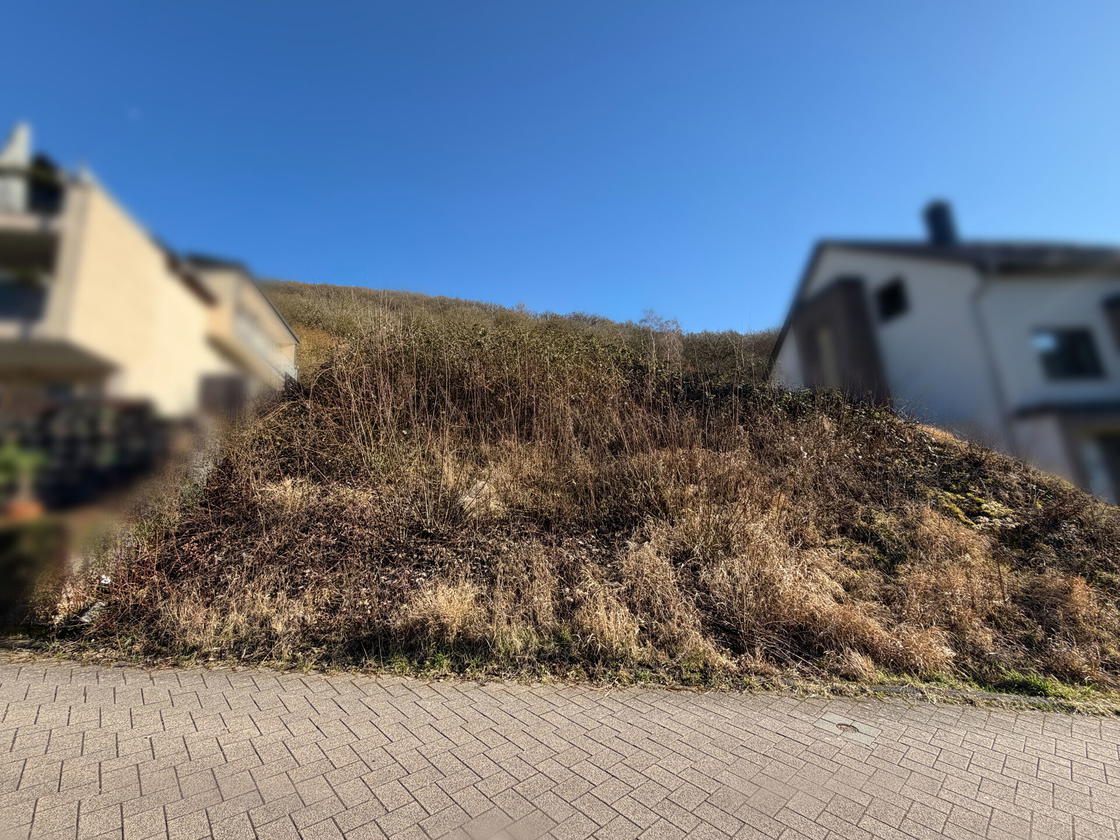 Ansicht von vorne