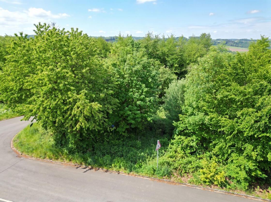 Umgebung und Aussicht