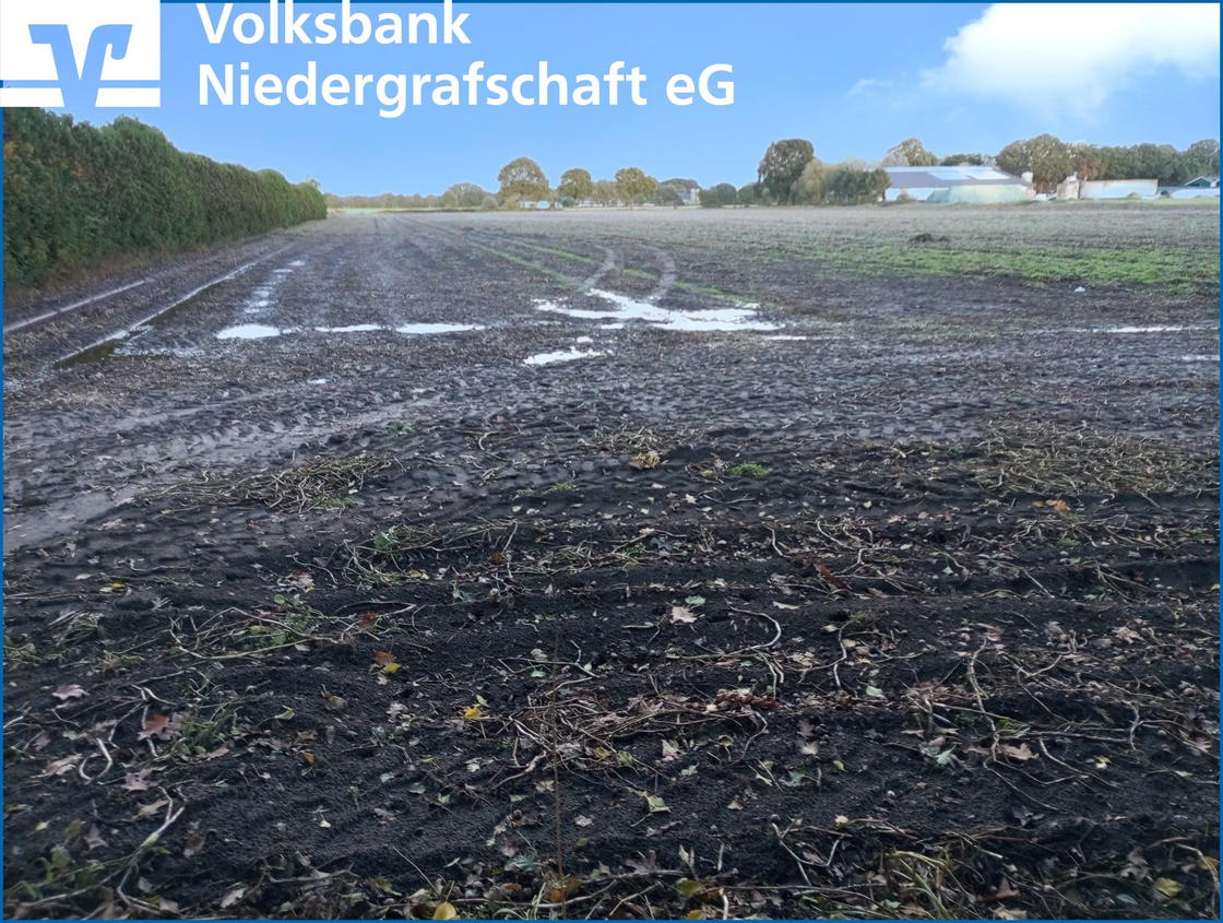 Ansicht von der Fleyerbecke