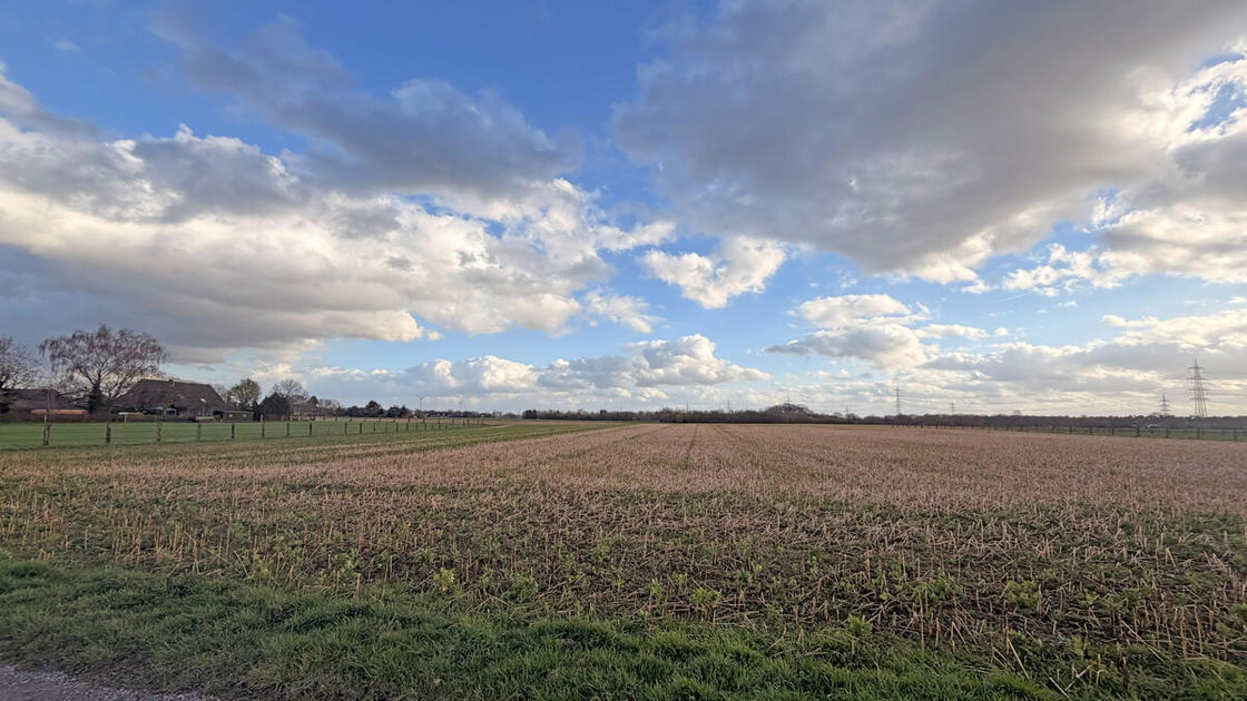 Landwirtschaftsfläche