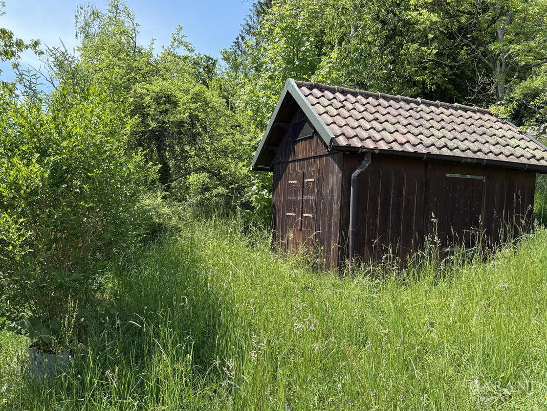 IMG 1347