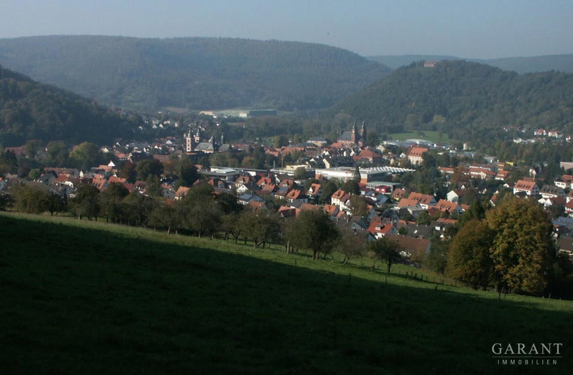 Blick auf Amorbach
